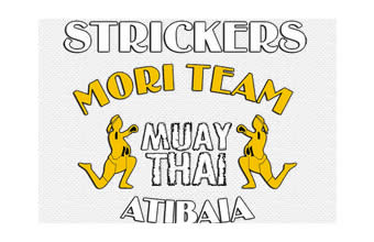 Academia Stricker - Foto 1