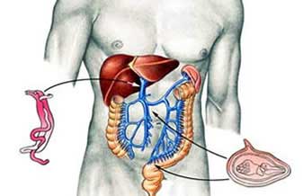 Clínica do Ubiratan II - Foto 1