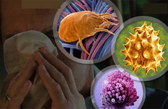 Clínica Especializada II do Hospital Novo Atibaia - Foto 1