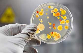 Posto do Alvinópolis Velho Atibaia - Foto 1