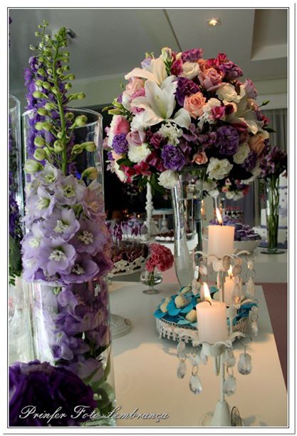 Fatima Arantes Assessoria e Cerimoniais - Foto 1