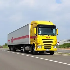 transmoscardini motoristas truck e carreteiros