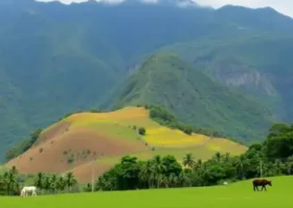 Últimas noticias de Atibaia