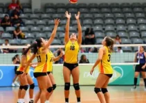 vôlei feminino