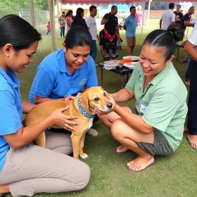 mutirão de castração de animais