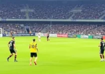 Paulistão Sub-15 e Sub-17