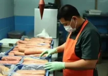 inspeção municipal Atibaia