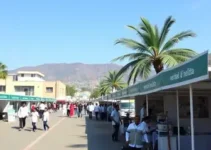 Expo Inova Saúde