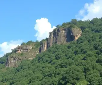 Selo Ouro do TCE-SP